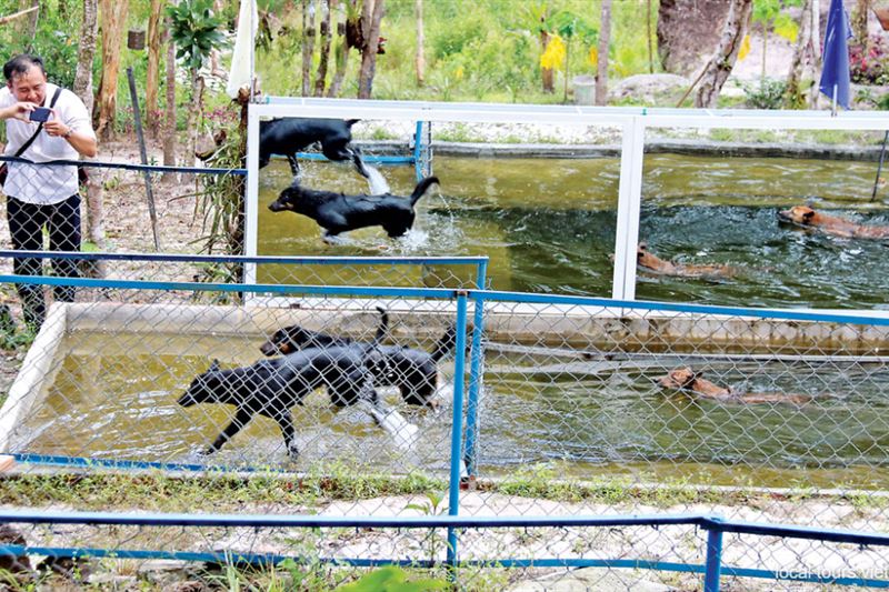 Phu Quoc Adventure: Discovering the South Island and Cable Car