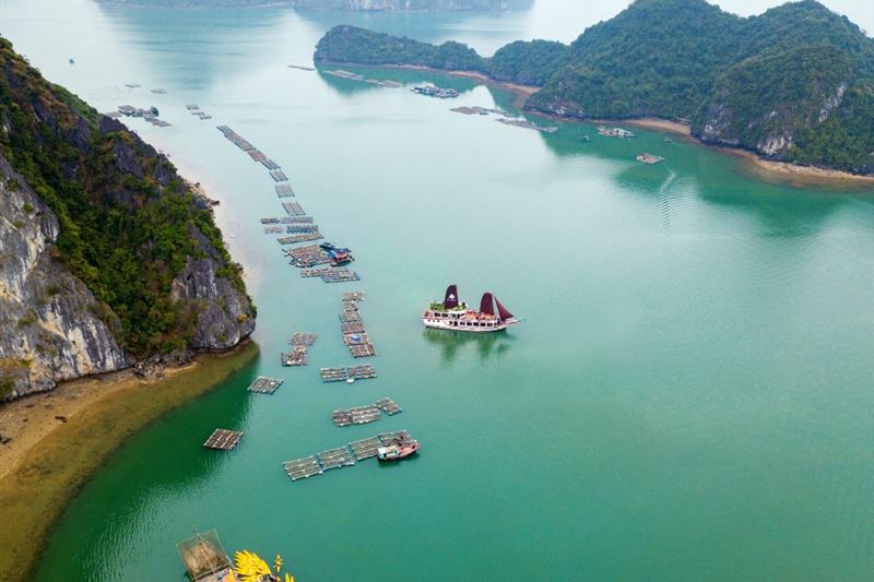 City Escape: Halong Bay Day Trip From Hanoi