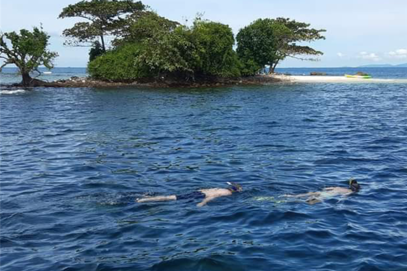 Pro-Guided Coral Reef Diving Experience