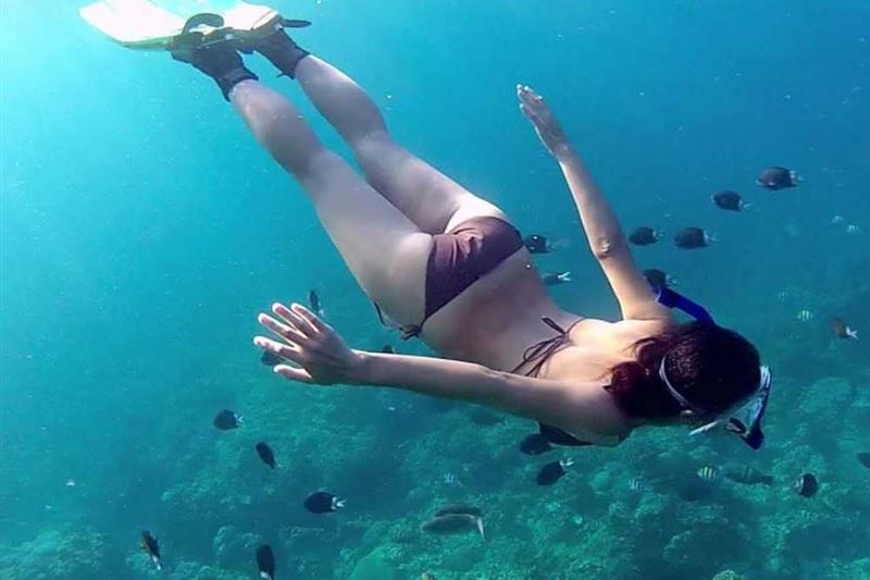 Pro-Guided Coral Reef Diving Experience