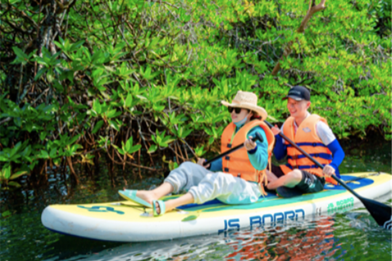 Trekking and Kayaking on Rach Tram River, North Island