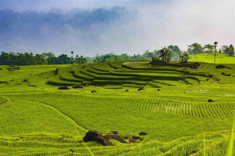 9 - Day Vietnam Package Tour  : HANOI – MU CANG CHAI - SAPA - HA GIANG - BAN GIOC - BA BE