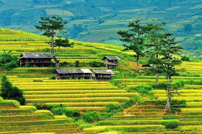 8 - Day Vietnam Package Tour  : HANOI – HA LONG – NINH BINH - MAI CHAU - PU LUONG